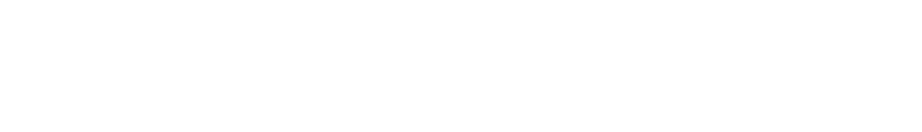 witpax logo