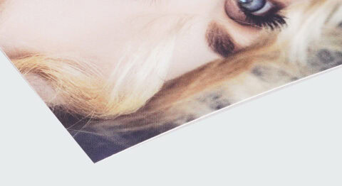 A close-up of a soft touch lamination process, showing a smooth, matte finish on a printed image.