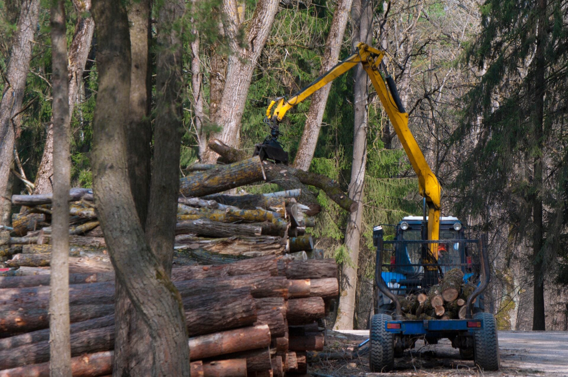 logging machine