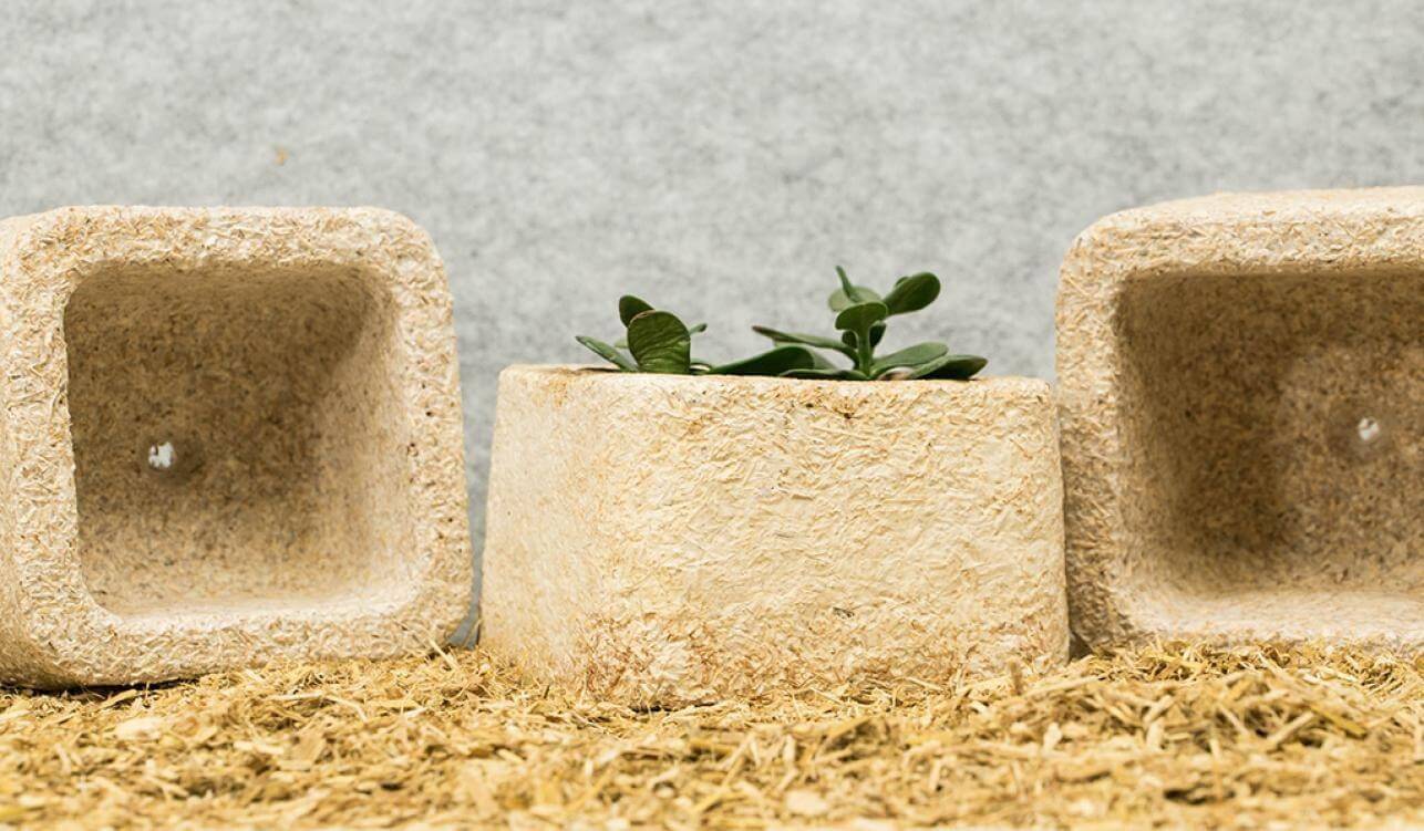 The image features three biodegradable plant pots nestled on straw, with a small green plant in the central pot, reflecting the eco-friendly appeal of our custom corrugated box packaging.